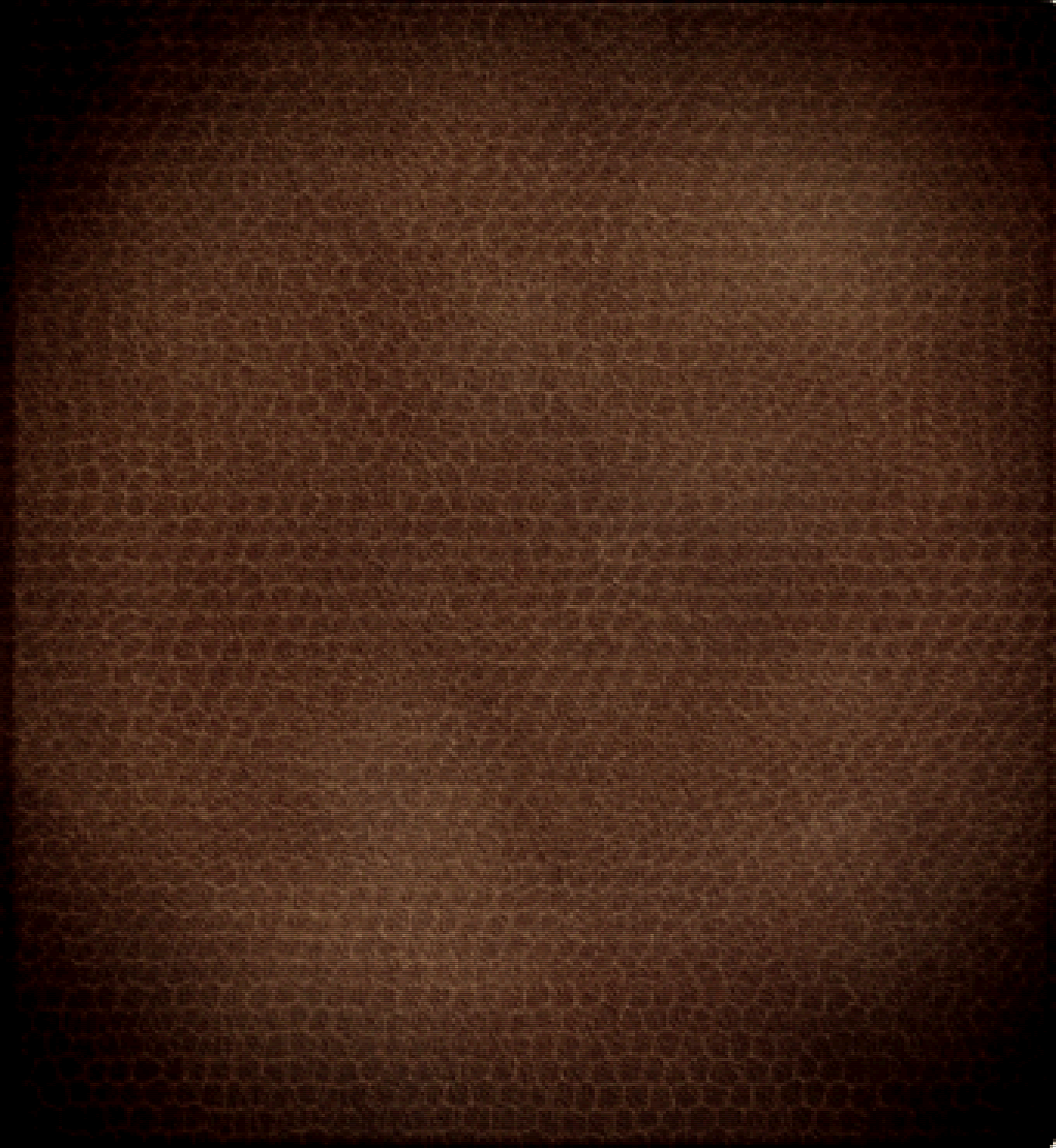 Leather texture